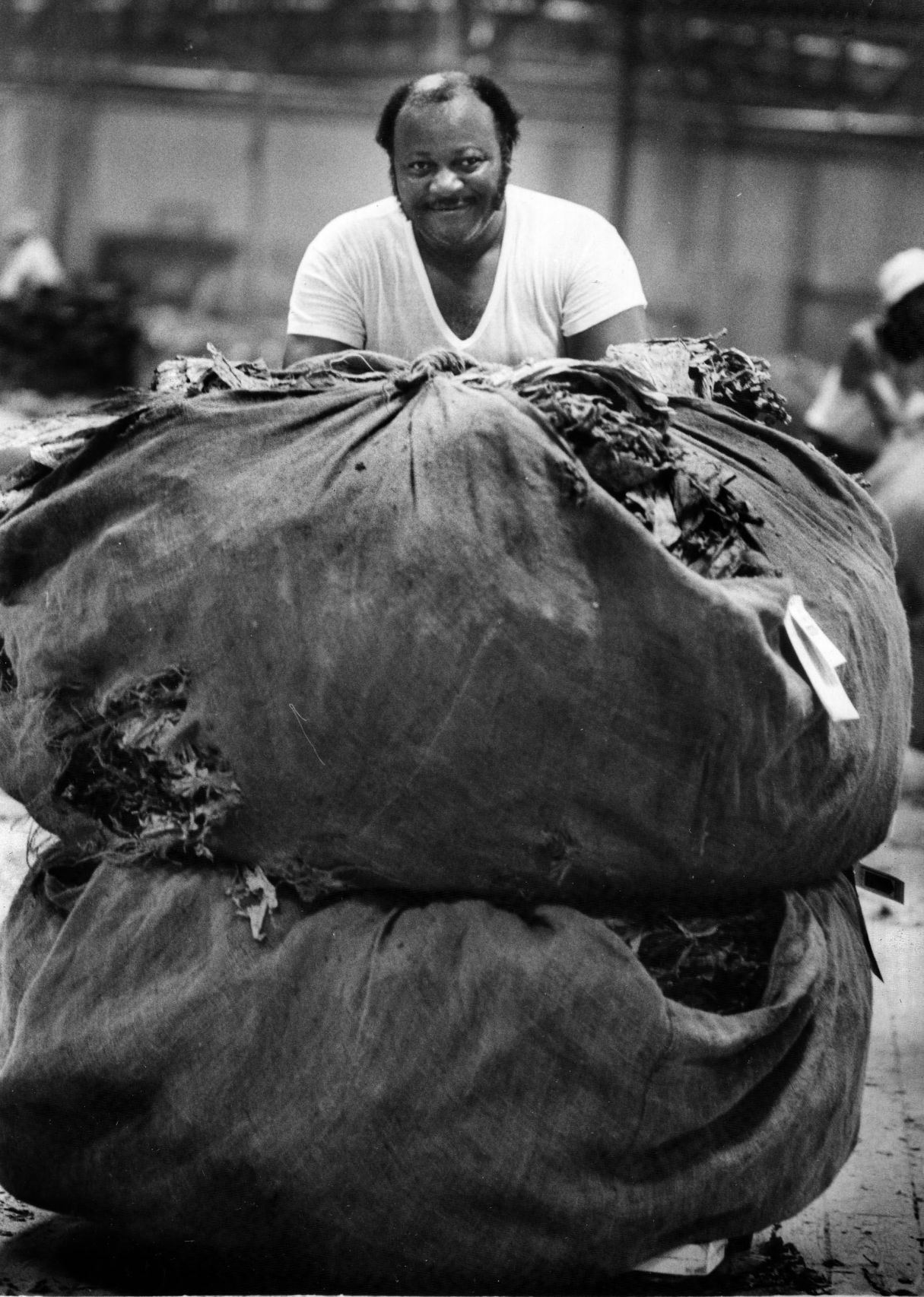 1981-08-06 tobacco.jpg
